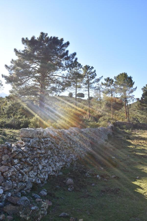 Domaine U Filanciu - Casa Chiara - Centru Di Corsica Moltifao Exterior foto